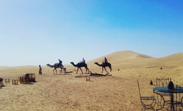 Erg Lihoudi Camel Trek